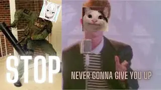 Beluga loves rickrolling