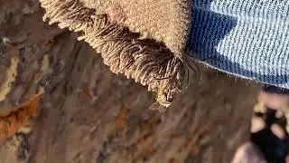 owl trip #5 24 hours in glacier solo