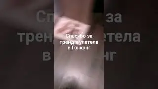 гогого #врек #музыка #shortvideo #котик #моирекомендации #шортс #jammu