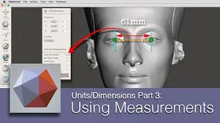 DART 157 F Units and Dimensions Part 3: From Measurements