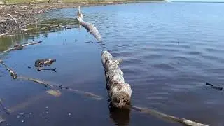 ах вот ты какая