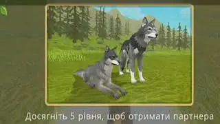 WildCraft в 360°.