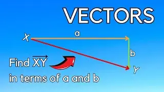 IGCSE Vectors: The Ultimate guide for Beginners.