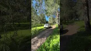 Dacia Duster 4x4 - Hill Climb#shorts