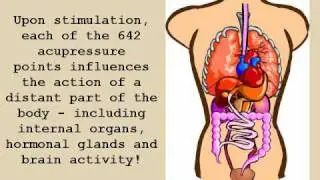 Weight Loss Acupressure - Easily Follow Diets and Lose Weight