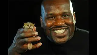 SHAQ with a BIG Message for WILDLIFE Endangered by Human POPULATION Growth Best SMALLER Families for