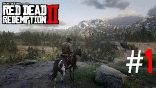 Red dead Redemption II PC: Gameplay découverte.