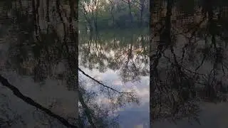10 мая 2024 г.