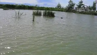 Платник  для рыбалки в Армении. Аревик.