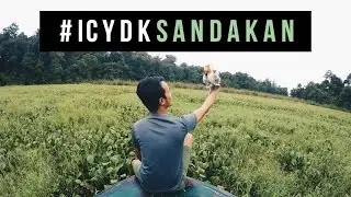 Exploring the beauty of Sandakan #ICYDKSandakan