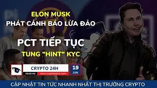 [Crypto 24h] - Elon Musk Phát Cảnh Báo Lừa Đảo - PCT Tiếp Tục Tung 