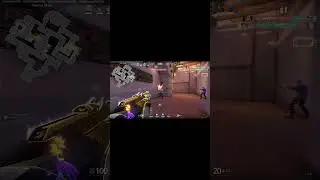 Easily ACE