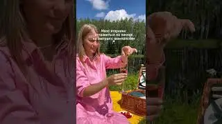 Пикник с шампанским на природе