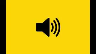 False - Voice Sound Effect