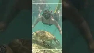 father's day adventure