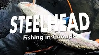 Steelhead Fishing in Canada - A Short Video