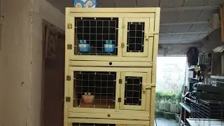 Паровочные клетки для голубей своими руками