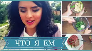 МЕНЮ СЫРОЕДА НА ДЕНЬ: Завтрак| Обед| Ужин + немного Влога