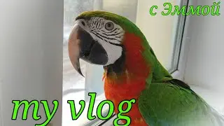 Мой с Эммой влог!My vlog!