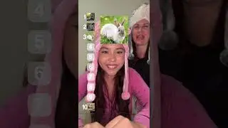 RANKEANDO ANIMAIS DE ESTIMAÇÃO QUE A GENTE TERIA!!!