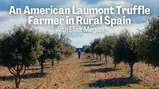 Elisa Megan, An American Laumont Truffle Farmer in Rural Spain: The challenges of a truffle farmer