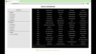 WEB SQL Terminal