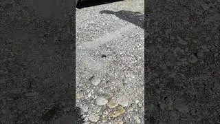 Един трудолюбив образ... 20.04.2024 г.