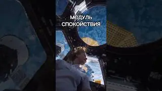 Самое красивое место на МКС! 🛰️🌍 #космос #шортс #shorts #наука #интересно #мкс