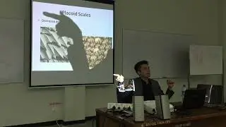Biology of Elasmobranch โดย น.สพ.ดร.สมรัฐ ทวีเดช