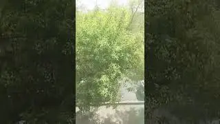 небо в Коркино