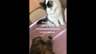 - не здивувала : він тебе настільки вже  вивчив