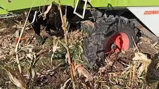 мега claas амкадор газ 53