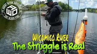 Wicomico River- Kayak Bass Fishing Tournament