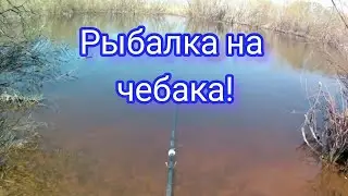 Рыбалка на удочку!!!Рыбалка на чебака!Весенний клев!