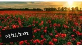 Sonhar com jardim de rosas vermelhas sonhos #002