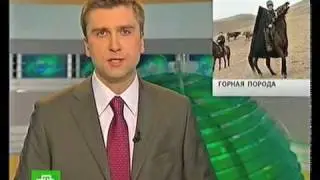 Карачаевская порода лошадей