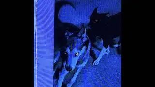 Destroy Lonely x Lil Uzi Vert  Type Beat - 