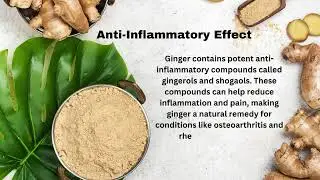 Health Benefits of Ginger A Superfood You Need to Know About