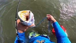 fishing Galveston “west bay” for speckled trout
