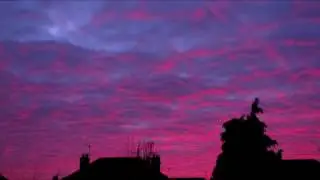 PINK SUNSET