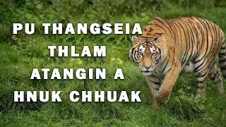 Mualzawl Sakei Sual - 1| Mizo chanchin ngaihnawm| Ziaktu- Zona Khawlhring