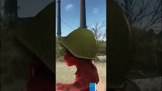 Кот в каске и Call of Duty