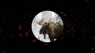 Spooky Rave: 1.5 year Remix - Bäck