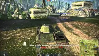 wt
