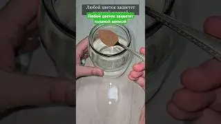 Любой цветок сразу зацветет пышной шапкой #цветы #герань #сад #огород #цветы #diy