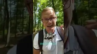 Jak uniknąć błędu początkujących freelancerów - nie ograniczaj się do jednej niszy. Freelance