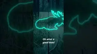 FINALLY, Something that Can't TROLL ME!!! 😜😜😜 - Call of the Wild 