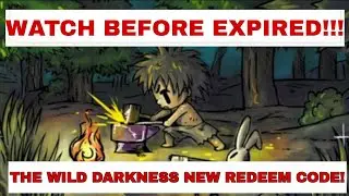THE WILD DARKNESS : NEW COUPON CODE!?!