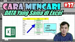 How to Find the Same Data in Excel #excel #37