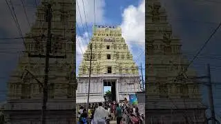 Ramanatha Swami Darshan #shorts #viralshort #trend #travel #youtubeshorts #ytshorts #trending